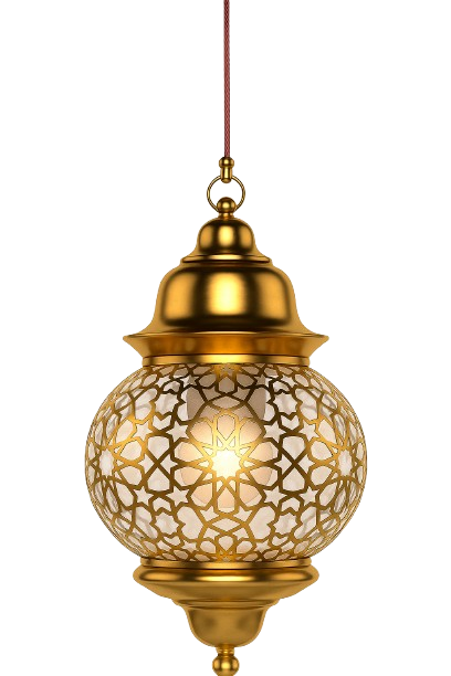 light-chain
